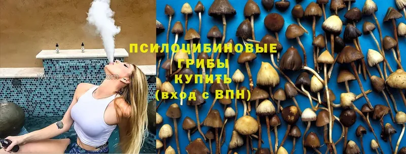 даркнет формула  что такое наркотик  Звенигово  Галлюциногенные грибы MAGIC MUSHROOMS 